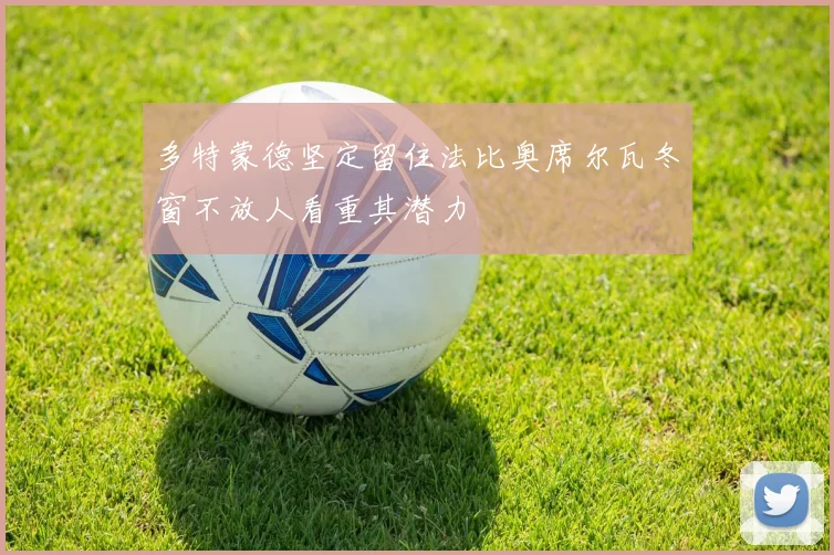 多特蒙德坚定留住法比奥席尔瓦冬窗不放人看重其潜力